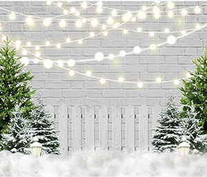 Fotohintergrund Vintage Ziegel Zaun und Tannen