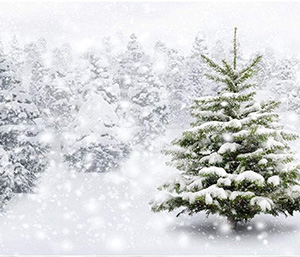 Photo Booth Background Winterwunderland