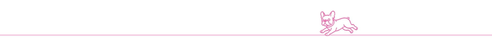 Französische Bulldogge schaut neugierig in den Fotospiegel auf der Fotobox-Seite