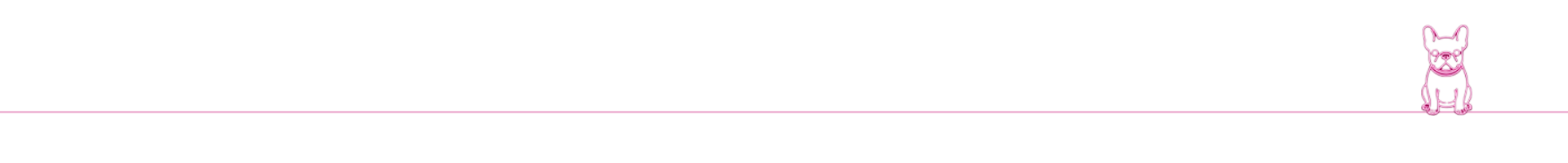 Französische Bulldogge sitzt entspannt vor dem Fotospiegel, Fotospiegel mieten in Limburg