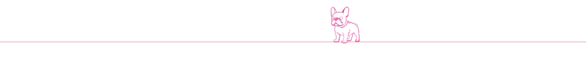 Kompletter Fotospiegel-Aufbau mit Drucker zum Mieten in Limburg und Umgebung